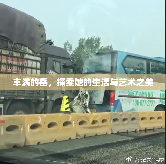 丰满的岳，探索她的生活与艺术之美