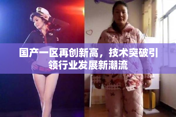 国产一区再创新高，技术突破引领行业发展新潮流