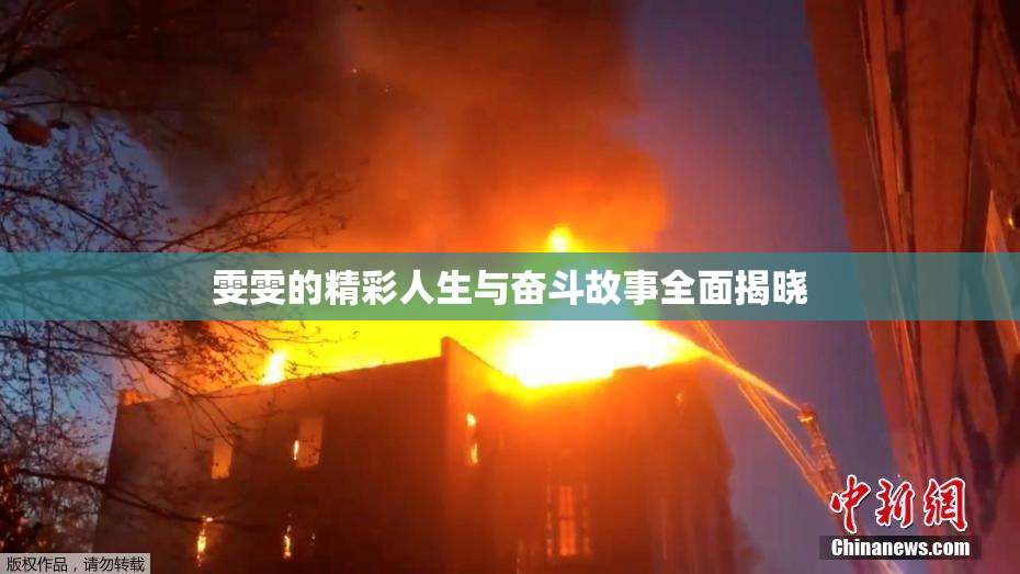 雯雯的精彩人生与奋斗故事全面揭晓