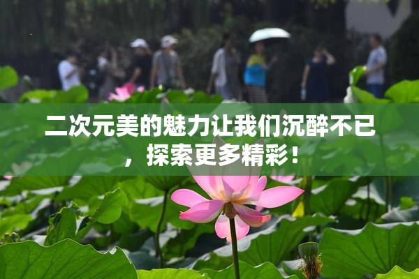 二次元美的魅力让我们沉醉不已，探索更多精彩！