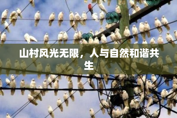 山村风光无限，人与自然和谐共生