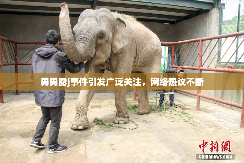 男男露j事件引发广泛关注，网络热议不断