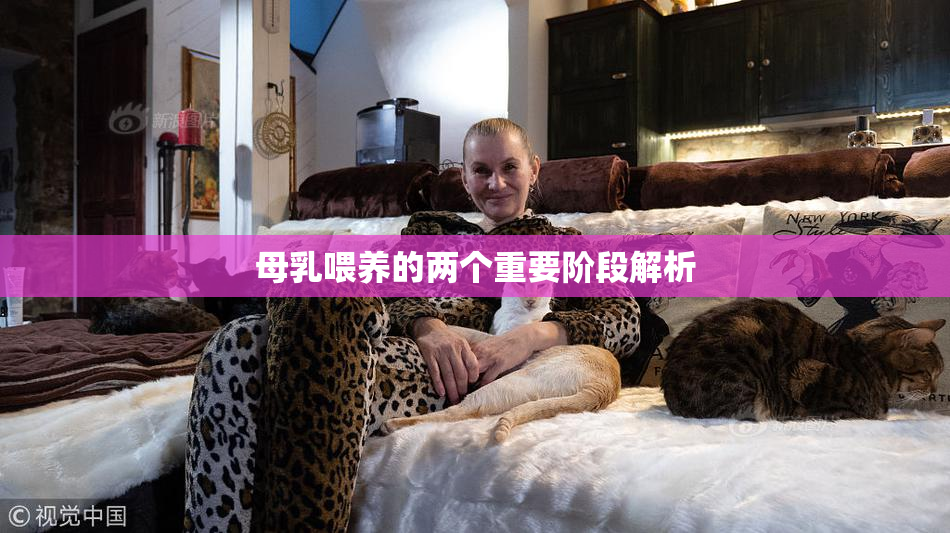 母乳喂养的两个重要阶段解析