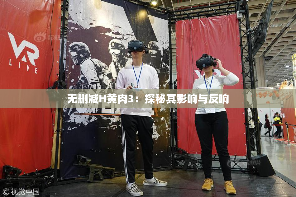 无删减H黄肉3：探秘其影响与反响