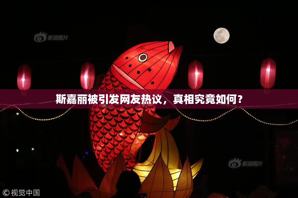 斯嘉丽被引发网友热议，真相究竟如何？