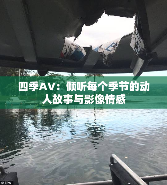 四季AV：倾听每个季节的动人故事与影像情感
