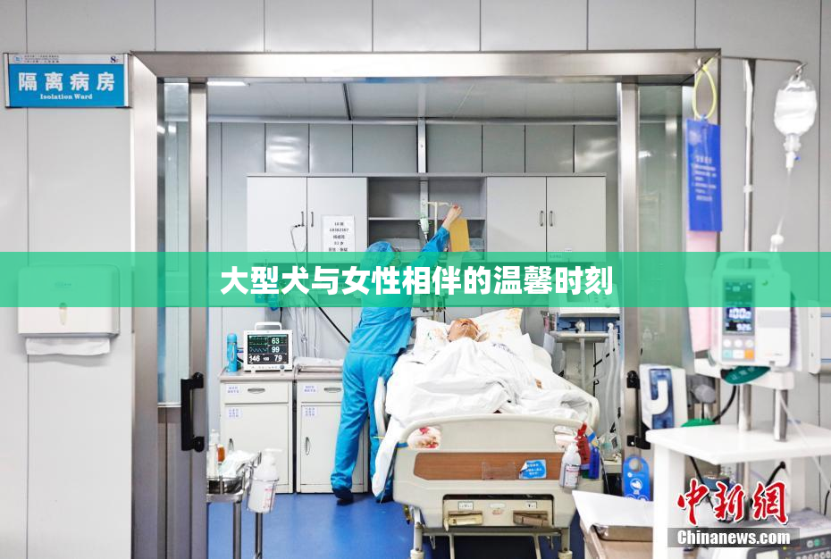 大型犬与女性相伴的温馨时刻