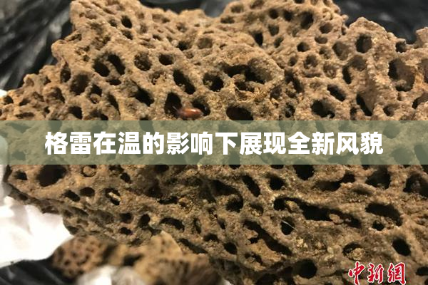 格雷在温的影响下展现全新风貌