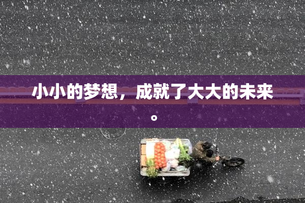 小小的梦想，成就了大大的未来。