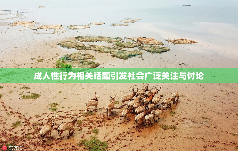 成人性行为相关话题引发社会广泛关注与讨论