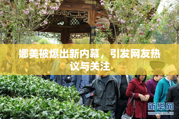 娜美被爆出新内幕，引发网友热议与关注