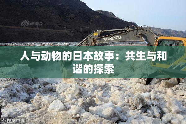 人与动物的日本故事：共生与和谐的探索