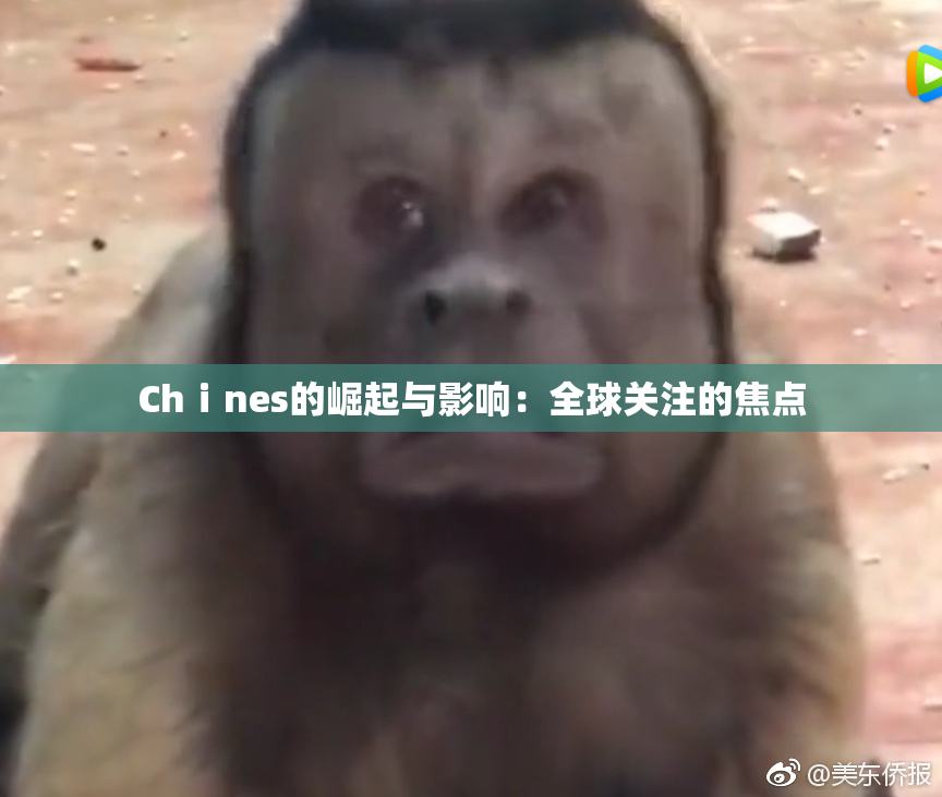 Chⅰnes的崛起与影响：全球关注的焦点
