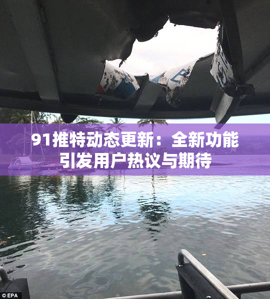 91推特动态更新：全新功能引发用户热议与期待