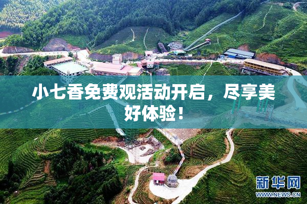 小七香免费观活动开启，尽享美好体验！
