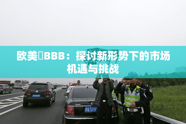 欧美槡BBB：探讨新形势下的市场机遇与挑战