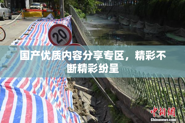 国产优质内容分享专区，精彩不断精彩纷呈