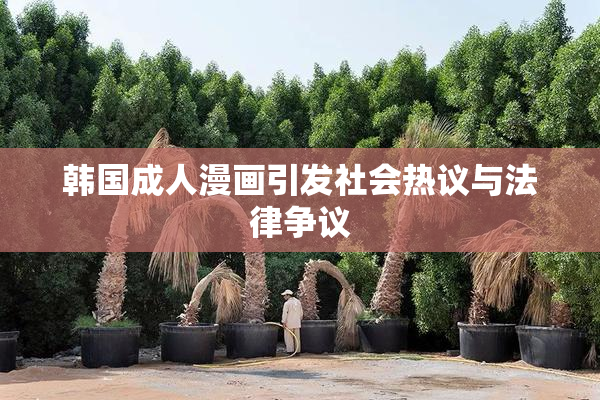 韩国成人漫画引发社会热议与法律争议