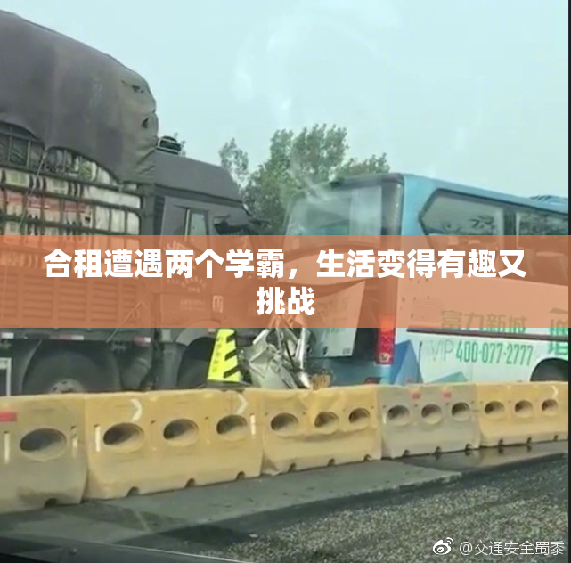 合租遭遇两个学霸，生活变得有趣又挑战