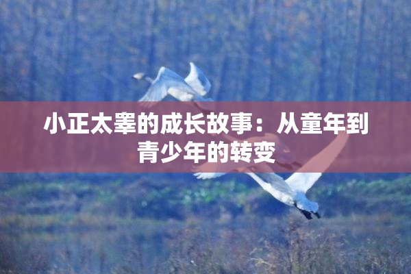 小正太睾的成长故事：从童年到青少年的转变