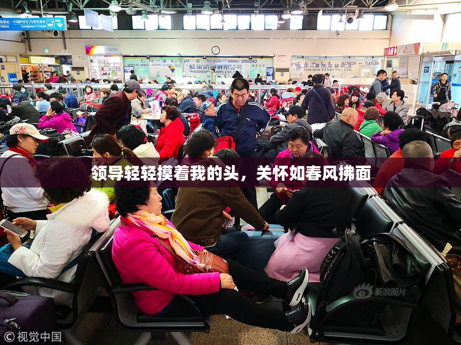 领导轻轻摸着我的头，关怀如春风拂面