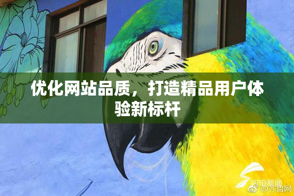 优化网站品质，打造精品用户体验新标杆