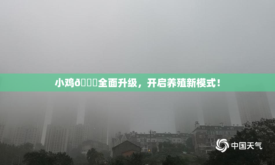 小鸡🐔全面升级，开启养殖新模式！