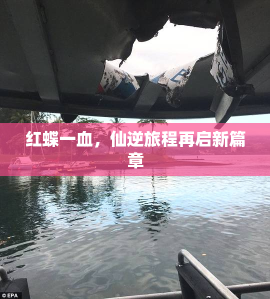 红蝶一血，仙逆旅程再启新篇章