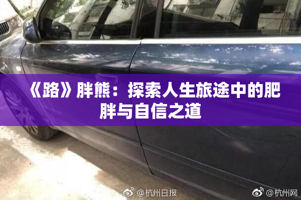 《路》胖熊：探索人生旅途中的肥胖与自信之道