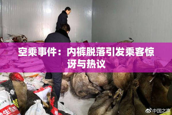 空乘事件：内裤脱落引发乘客惊讶与热议