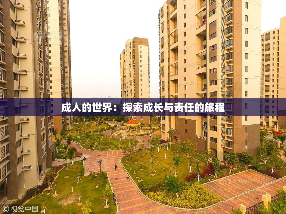 成人的世界：探索成长与责任的旅程