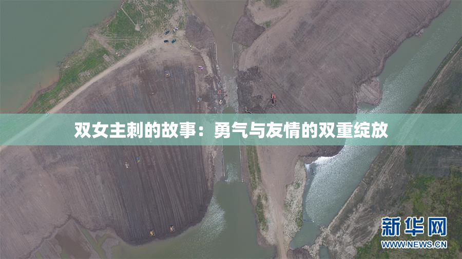 双女主刺的故事：勇气与友情的双重绽放