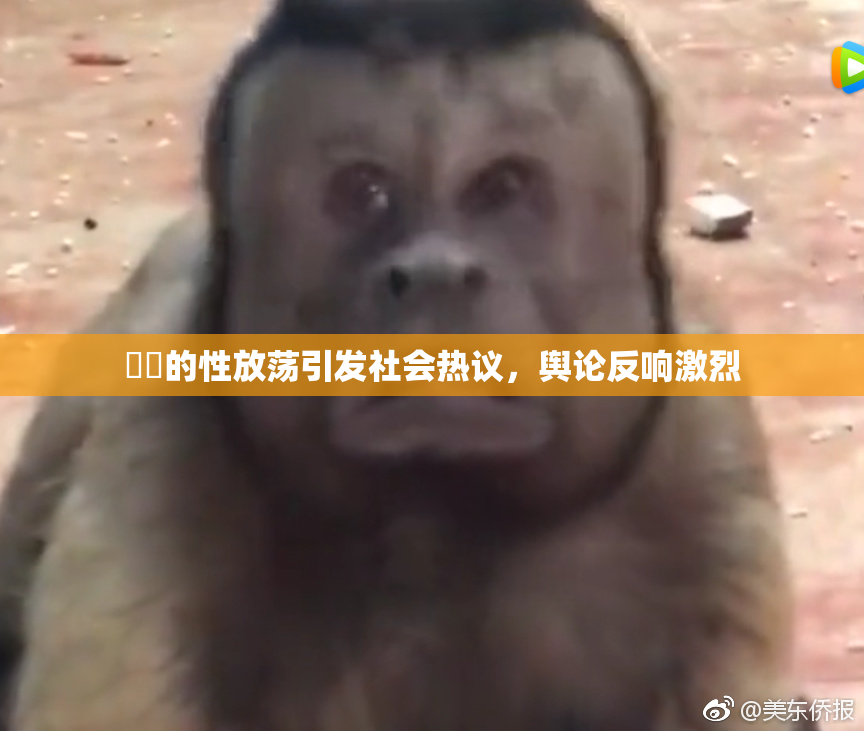妺妺的性放荡引发社会热议，舆论反响激烈