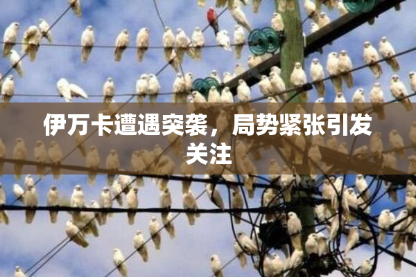 伊万卡遭遇突袭，局势紧张引发关注