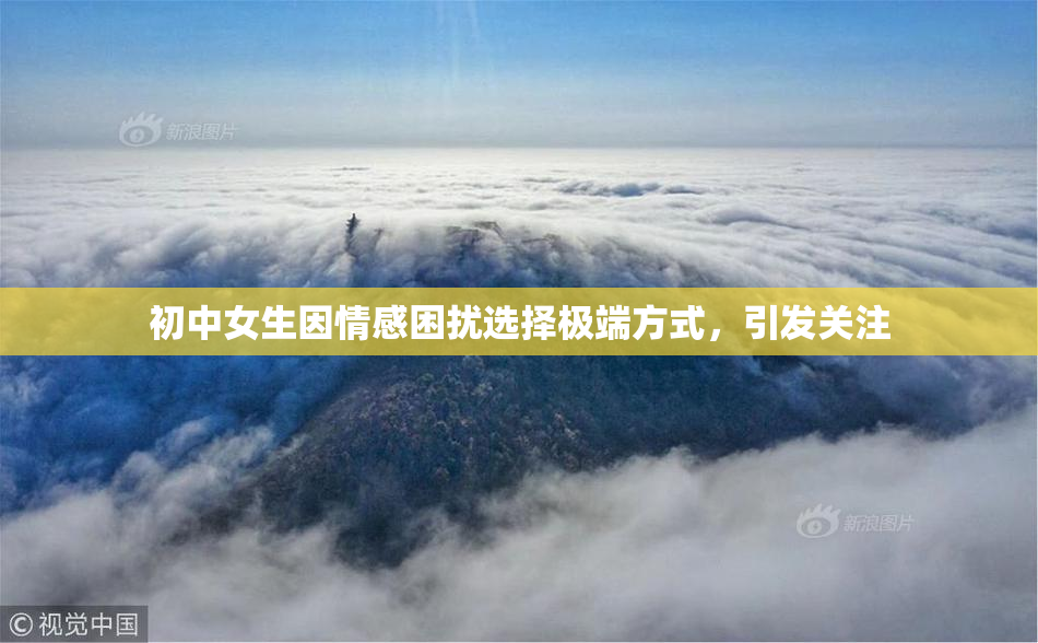 初中女生因情感困扰选择极端方式，引发关注