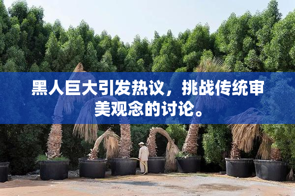 黑人巨大引发热议，挑战传统审美观念的讨论。