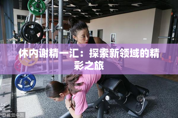 休内谢精一汇：探索新领域的精彩之旅