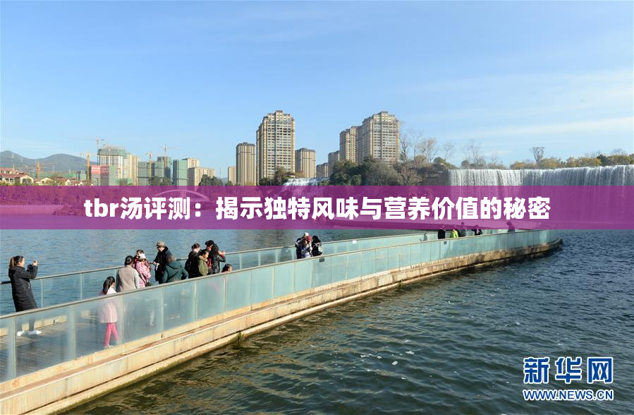 tbr汤评测：揭示独特风味与营养价值的秘密
