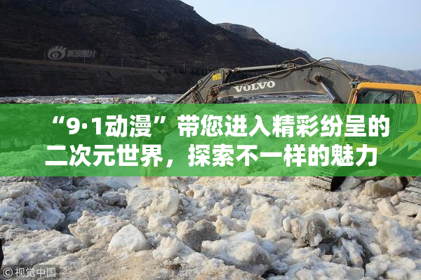 “9·1动漫”带您进入精彩纷呈的二次元世界，探索不一样的魅力