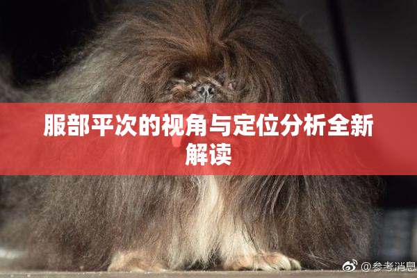 服部平次的视角与定位分析全新解读