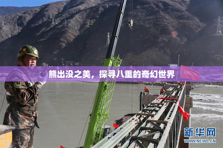 熊出没之美，探寻八重的奇幻世界