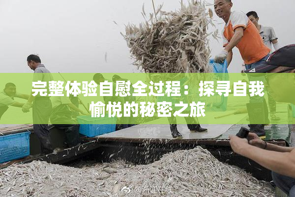 完整体验自慰全过程：探寻自我愉悦的秘密之旅