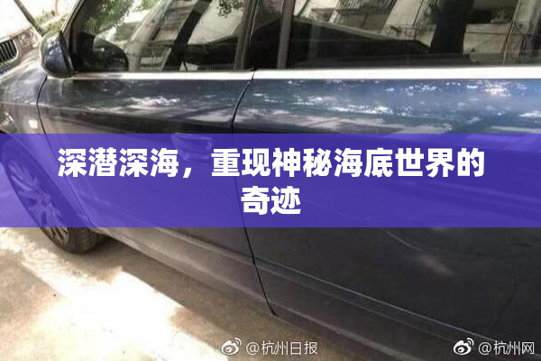 深潜深海，重现神秘海底世界的奇迹