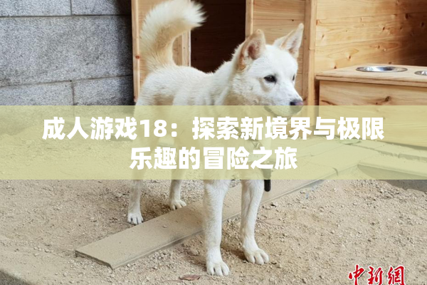 成人游戏18：探索新境界与极限乐趣的冒险之旅