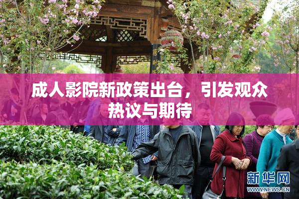 成人影院新政策出台，引发观众热议与期待