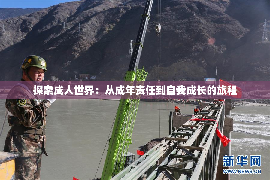探索成人世界：从成年责任到自我成长的旅程