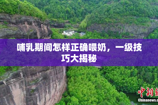 哺乳期间怎样正确喂奶，一级技巧大揭秘