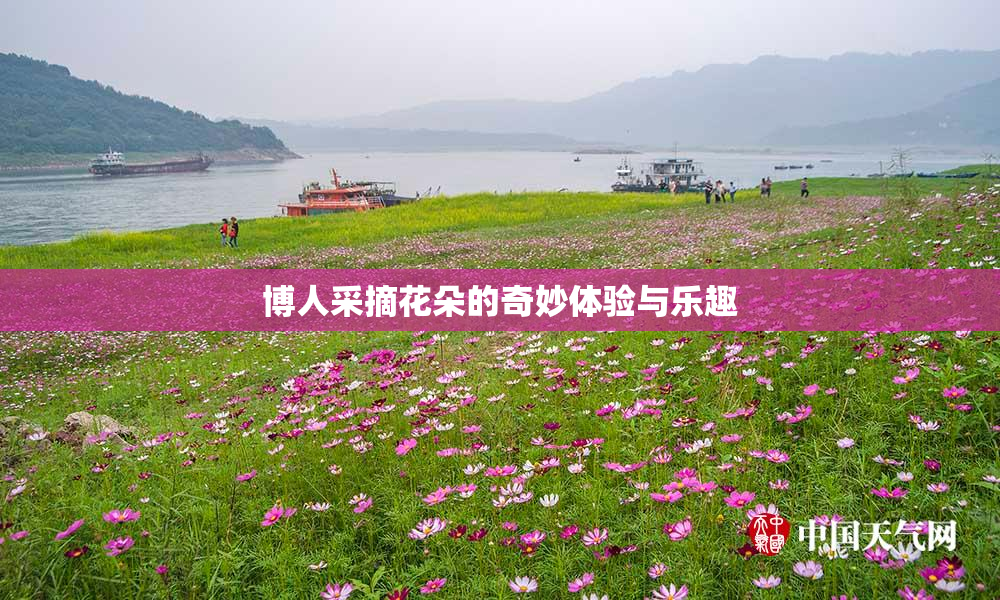 博人采摘花朵的奇妙体验与乐趣
