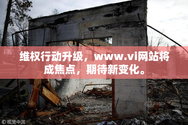 维权行动升级，www.vi网站将成焦点，期待新变化。