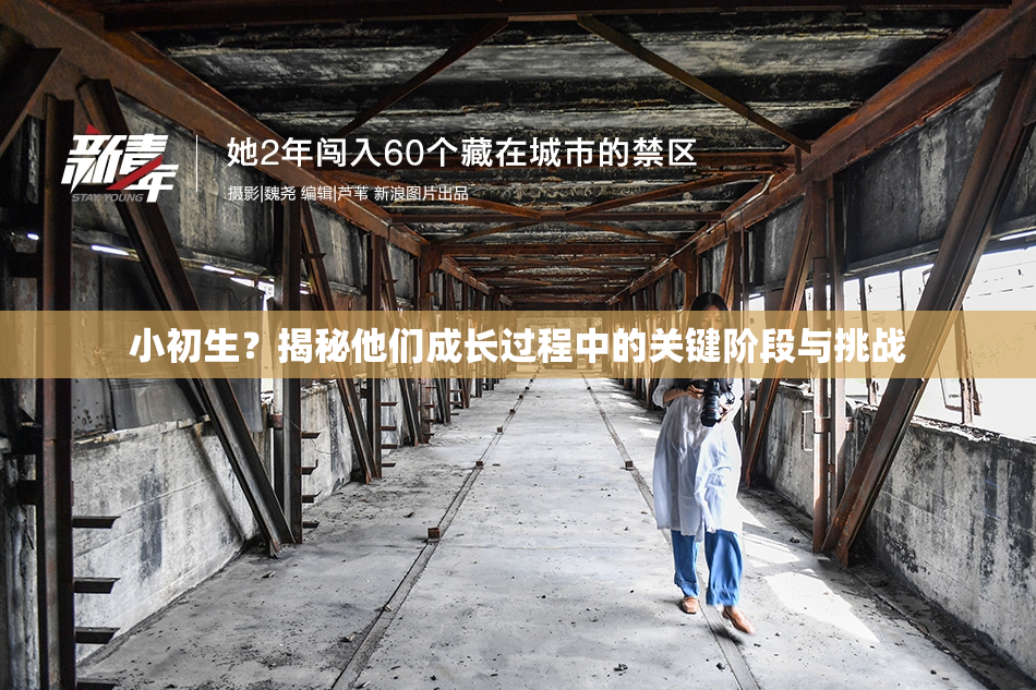 小初生？揭秘他们成长过程中的关键阶段与挑战